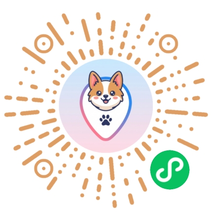 扫码使用带宠游